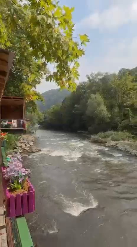 Melen Çayı kıyısındaki ahşap tesisin yanından görülen çiçekli teras ve akan nehir
