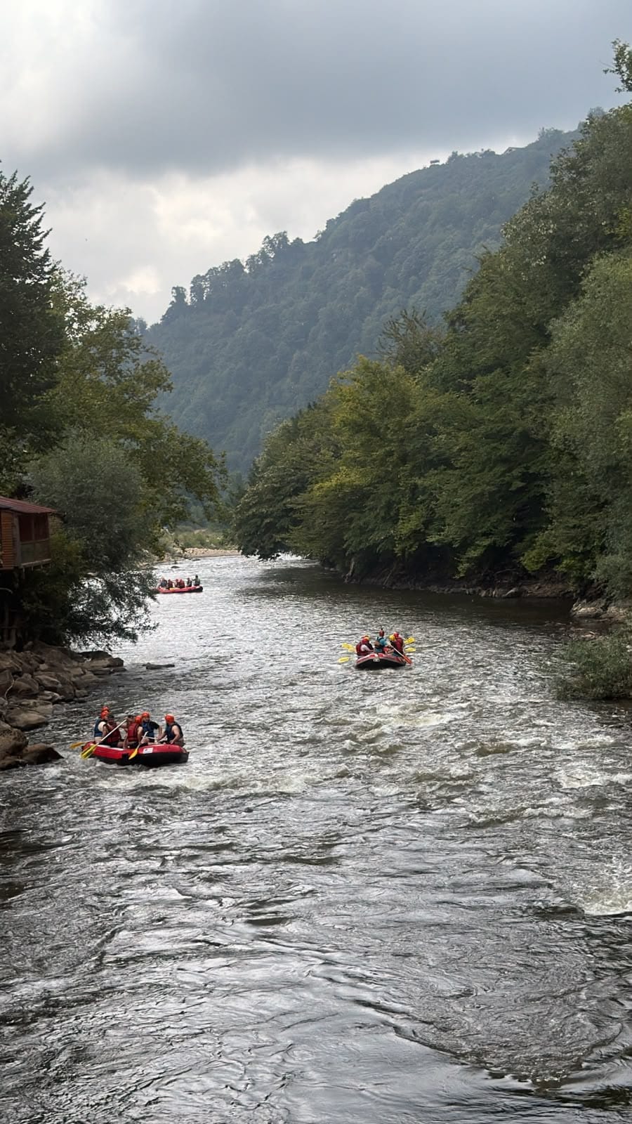 Cumayeri rafting parkurunda ormanla kaplı vadi içinde art arda süzülen kırmızı ve sarı rafting botları